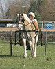 Horse 03 : 